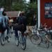 Dokumentation im Kino: „Wald:Sinfonie“