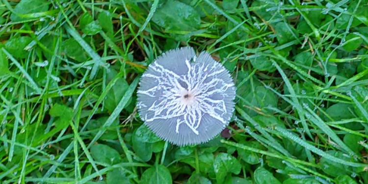 Frühjahrsausstellung: Natur, Glaube, Hoffnung