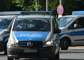 Polizeiliche Kriminalstatistik 2024: Leichter Rückgang der Straftaten in der Polizeidirektion Ratzeburg
