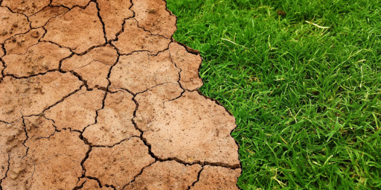 Rückblick auf den Klimathon 2025