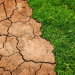 Rückblick auf den Klimathon 2025