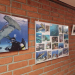 Natur pur: Fotoausstellung von Karola Thieme im Möllner Stadthaus