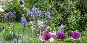  Offener Garten in Basedow