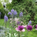  Offener Garten in Basedow