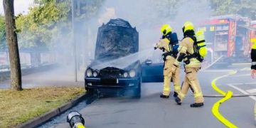 Ehrenamtler der Möllner Feuerwehr wurden im Juni 2025 insgesamt 29 mal um Hilfe gebeten