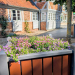 Erneuter Blumenklau aus Geesthachter Bepflanzungen