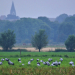 Exkursion zum Priestermoor und Manauer Moor