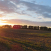 Herbstwanderung durch Feld und Flur