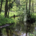 Spaziergang durch das herbstliche Hellbachtal