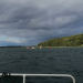 Neun Menschen aus dem Wasser gerettet