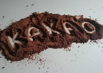 ‚Fairer Handel mit Kakao – vom Baum bis in die Tafel‘