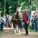 Naturerlebnistag im Umweltzentrum