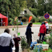 Pflanzenflohmarkt an der Ratzeburger Schlosswiese