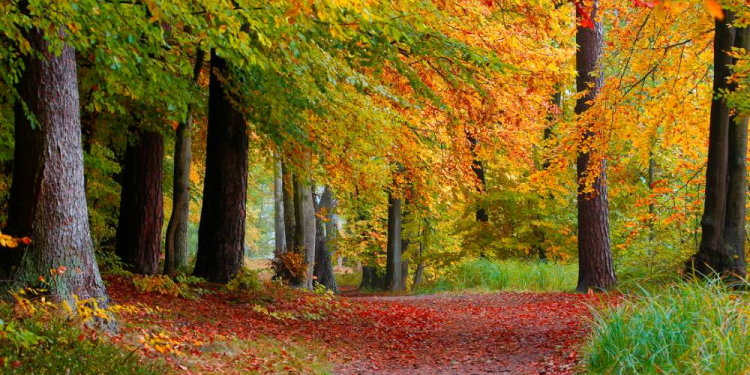 Herbstliche Naturpark-Entdeckertouren