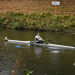 Ratzeburger Ruderclub dominiert auf der Langstrecken Regatta in Mölln