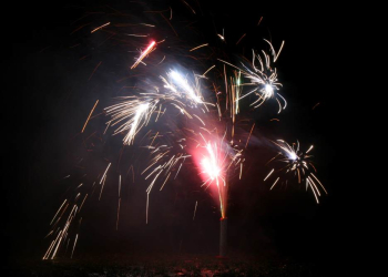 Silvester ohne Böller – für die Gesundheit von Mensch und Tier