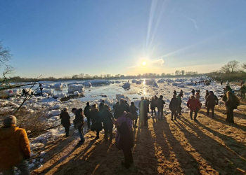 Eisberge in Geesthacht – Stadtverwaltung appelliert