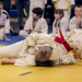 Drei Ratzeburger Judoka auf Erfolgskurs