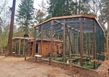 Einweihung der neu gestalteten Voliere – Naturerlebnis im Uhlenkolk erweitert