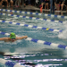 RSV-Schwimmen-Sparte: Letzter Test vor den Landesmeisterschaften