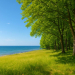 Frühjahrsausstellung: Wald Wiesen Wasser