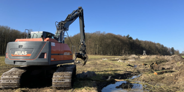 Wasser zurück in die Natur: Kreis Herzogtum Lauenburg renaturiert Bäche für mehr Artenvielfalt