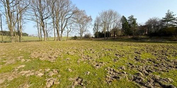 Massive Wildschweinschäden am Riemannsportplatz