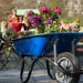 Blühender Saisonstart auf der Gartenromantik in Mölln