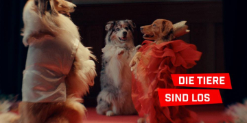 Filmclub Kurzfilmabend: ‚SHORTS ATTACK: Die Tiere sind los‘
